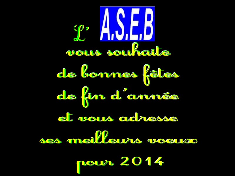 voeux-ASEB-2014.jpg
